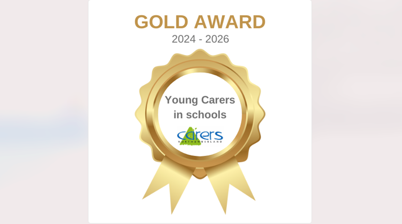 School carer award Gold